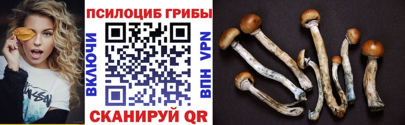 купить наркотики цена  Островной  OMG сайт  Галлюциногенные грибы ЛСД 